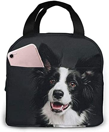 Boîte à lunch pour jeune chien - Tote Bag Sublimation avis et prix